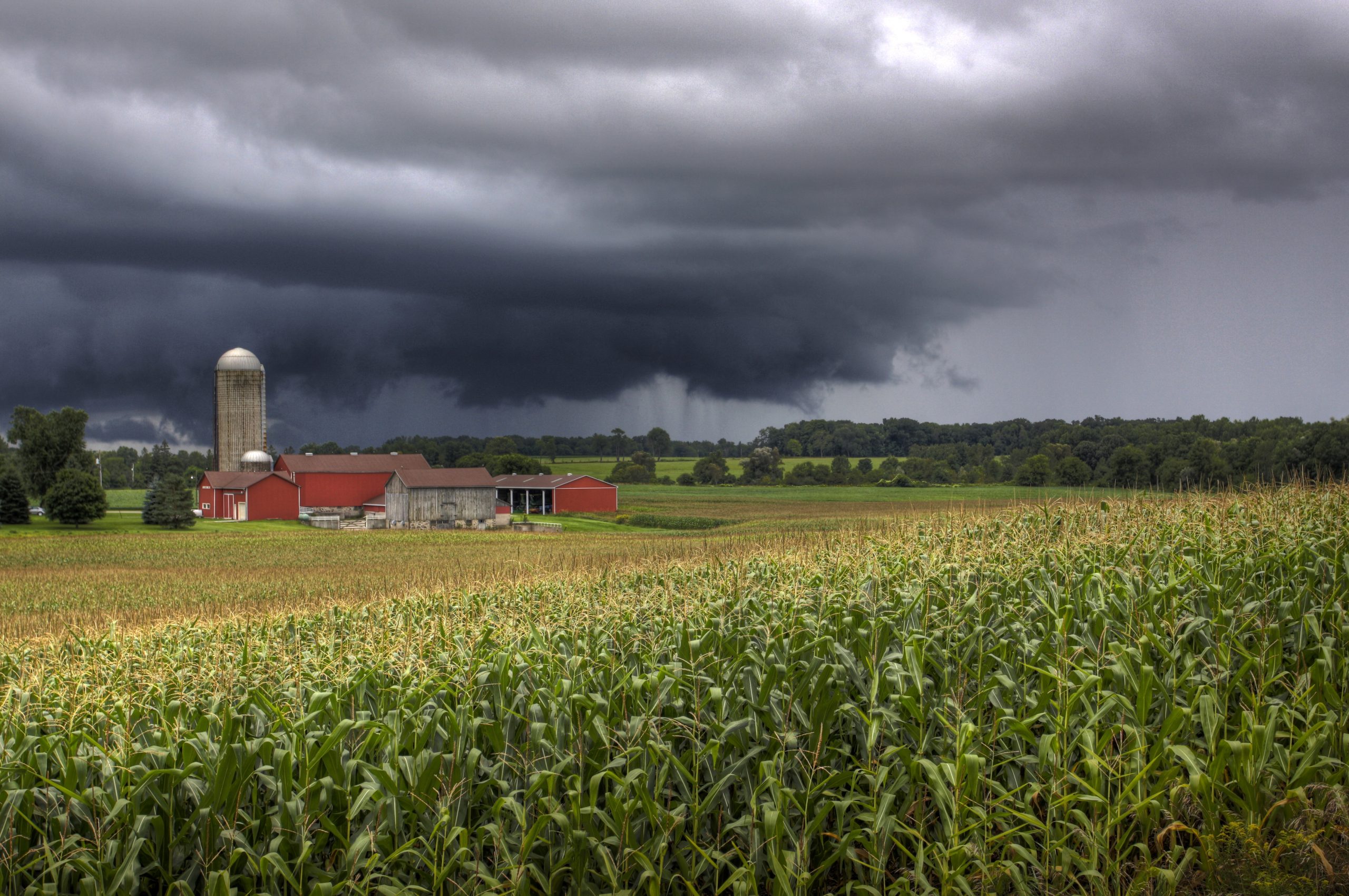 Danny Bailey - Springs and Seasonsl